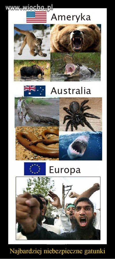 Najniebezpieczniejsze gatunki!!!