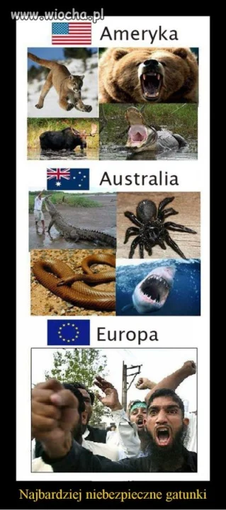 Najniebezpieczniejsze gatunki!!!
