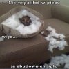 Nie ma węgla na zimę 