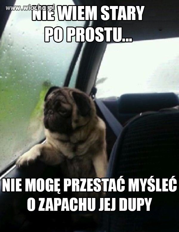Po prostu