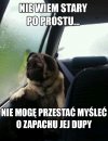 Po prostu