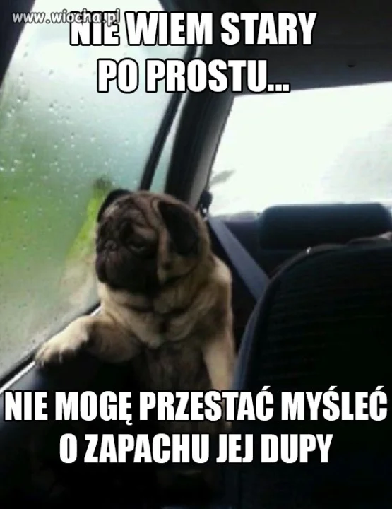 Po prostu
