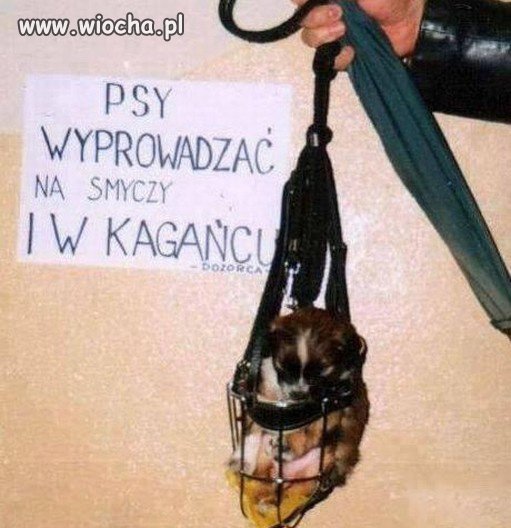 Zawsze jestem w zgodzie z prawem