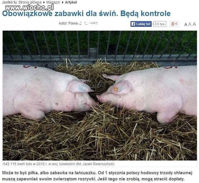 Niedługo będziemy bardziej unijni niż sama Unia.