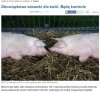 Niedługo będziemy bardziej unijni niż sama Unia.