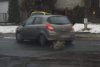  Lubartów :przejechał Psa jadąc 5 km /h i uciekł!!