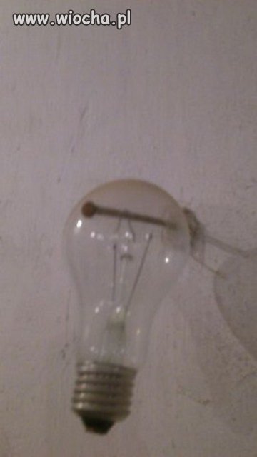 Elektryk fachowiec