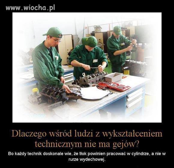 Coś w tym jest