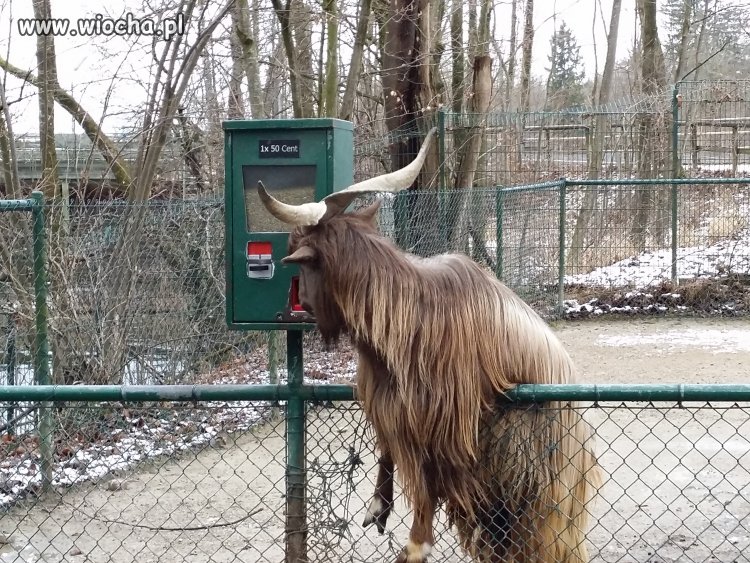Samoobsługa