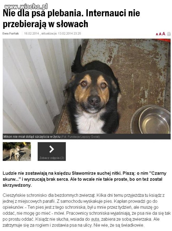Nie dla psa plebania...