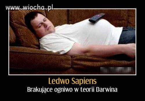 Ewolucja