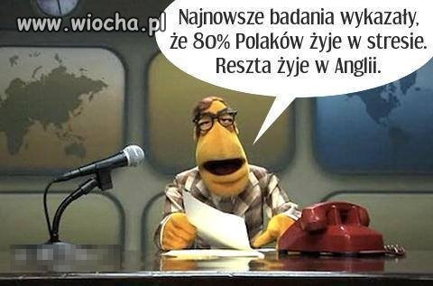 Najnowsze badania wykazały, że ...