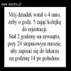 Trzeba mieć końskie zdrowie 