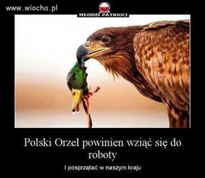 Skoro sami nie potrafimy...