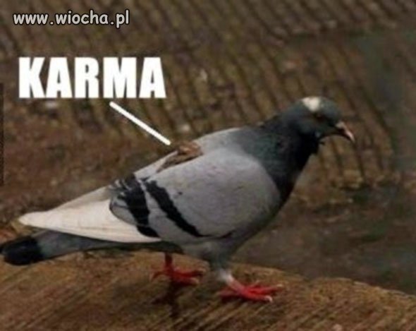 Karma