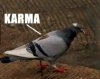 Karma