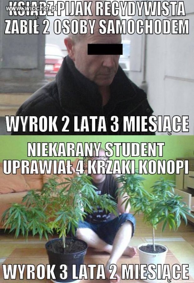Nasze prawo jest chore... 