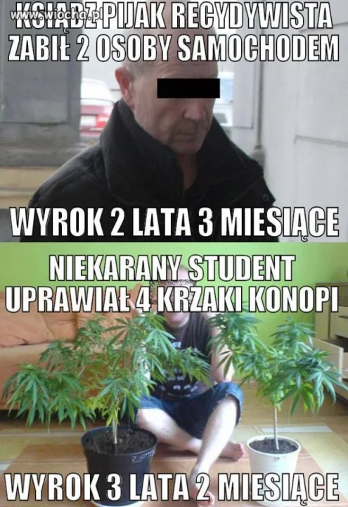 Nasze prawo jest chore... 