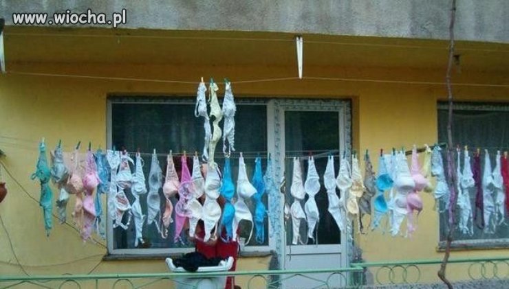 Niezła kolekcja
