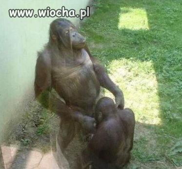 Chwila relaksu 