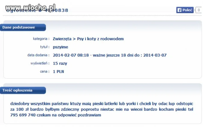 Pszyjme...
