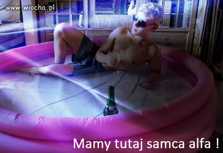 Mamy tutaj samca alfa ...
