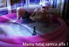 Mamy tutaj samca alfa ...