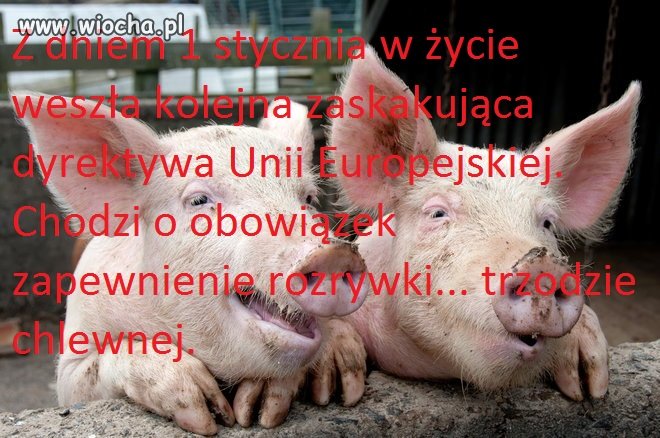 Unia