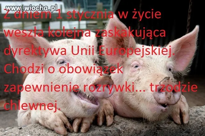 Unia