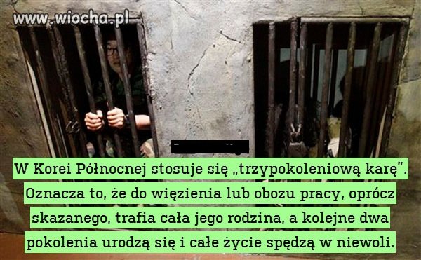 Takie kary powinni 