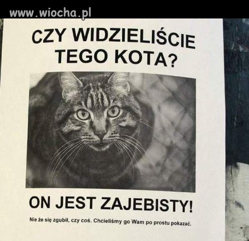 Ogłoszenie.