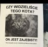 Ogłoszenie.