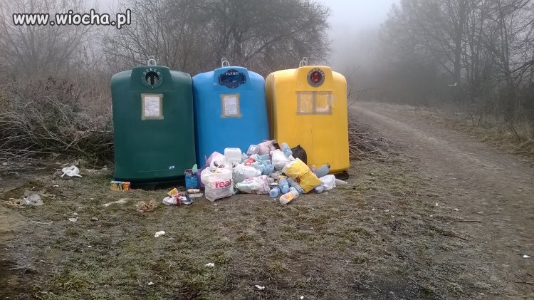 Śmieci w pewnym osiedlu