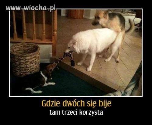 W tym przypadku 