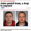 Jeden gwałcił krowy, a drugi nagrywał