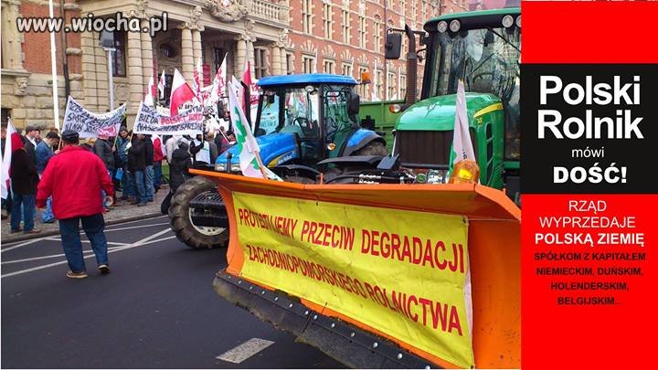 Po lasach kolej na ziemię.