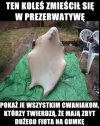 Koleś ubrany w prezerwatywę