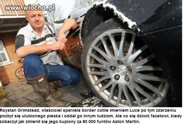 A mogłem kupić czołg
