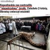 Zawsze miałem Duńczyków za cywilizowany naród.