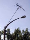 Antena