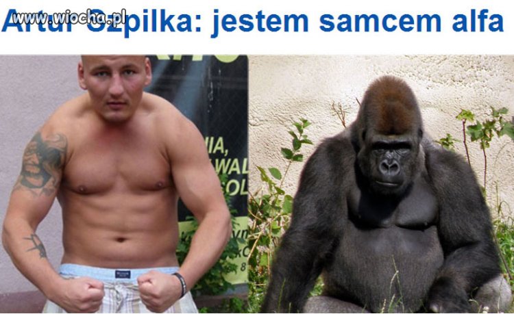 Ten z prawej...