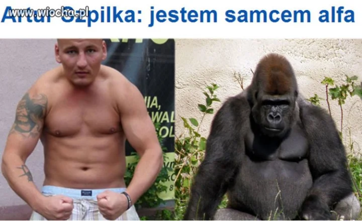 Ten z prawej...
