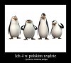 Pingwiny lepsze niż...