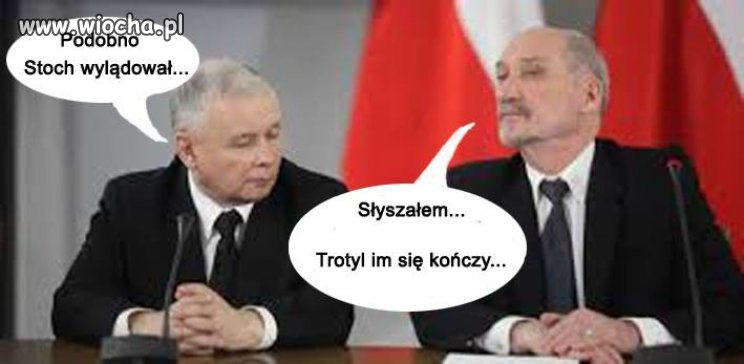 I mgły ani grama...