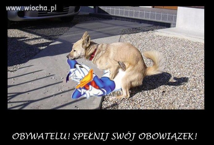 Już niedługo wybory