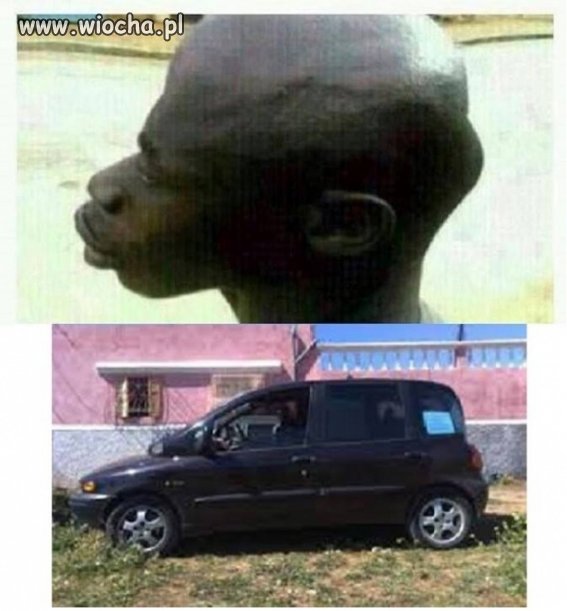 Homo Multipla