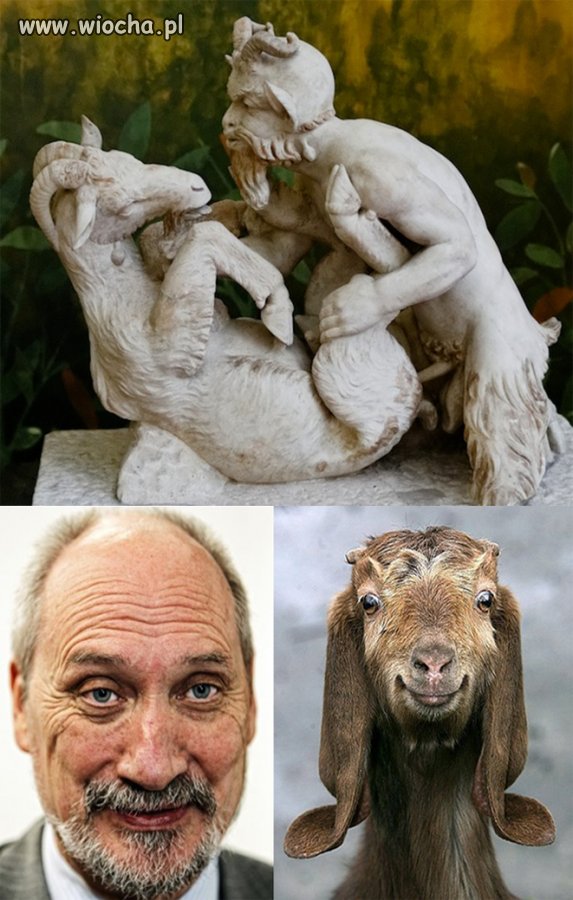 Się narobiło