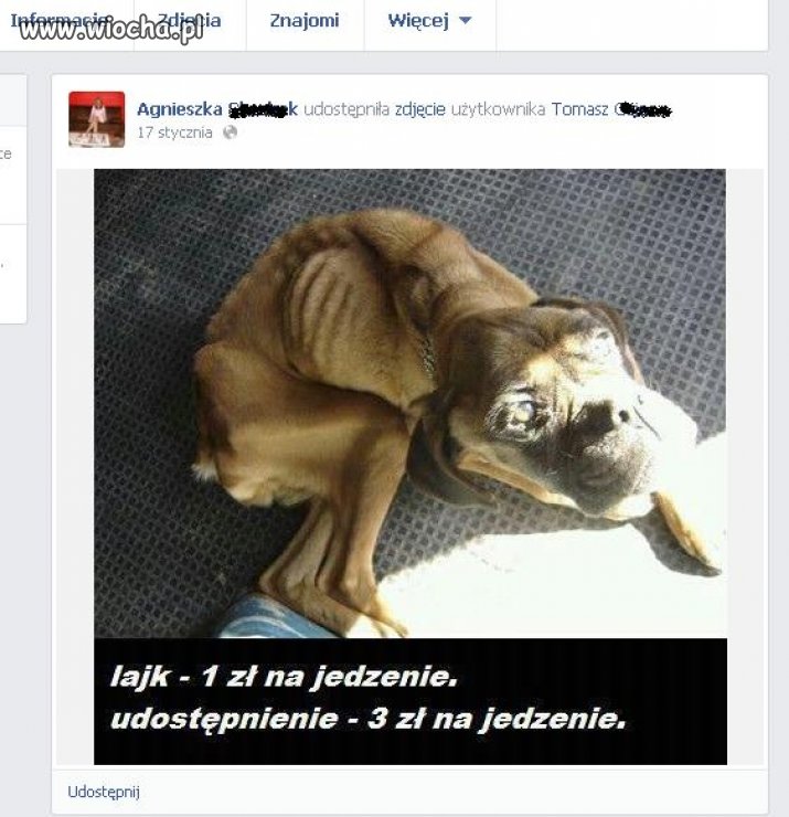 Czy może być większa głupota niż wstawianie takich