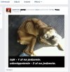Czy może być większa głupota niż wstawianie takich