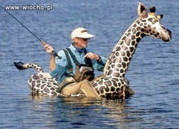 Hej ho, hej ho